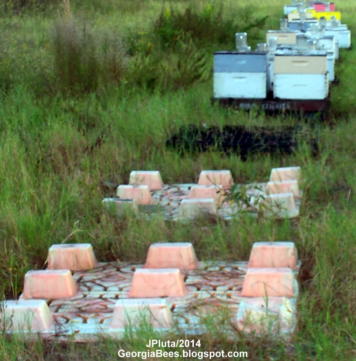 BEEKEEPING Beekeeper Honey Bees Pollen Wax Candle Propolis Queen Nuc