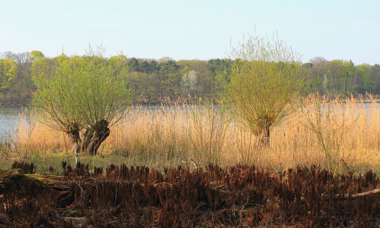 Wannsee