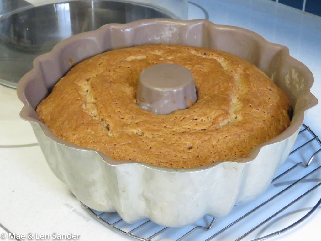 Mae's Food Blog Retro Baking Velvet Spice Cake from the "Joy of Cooking"