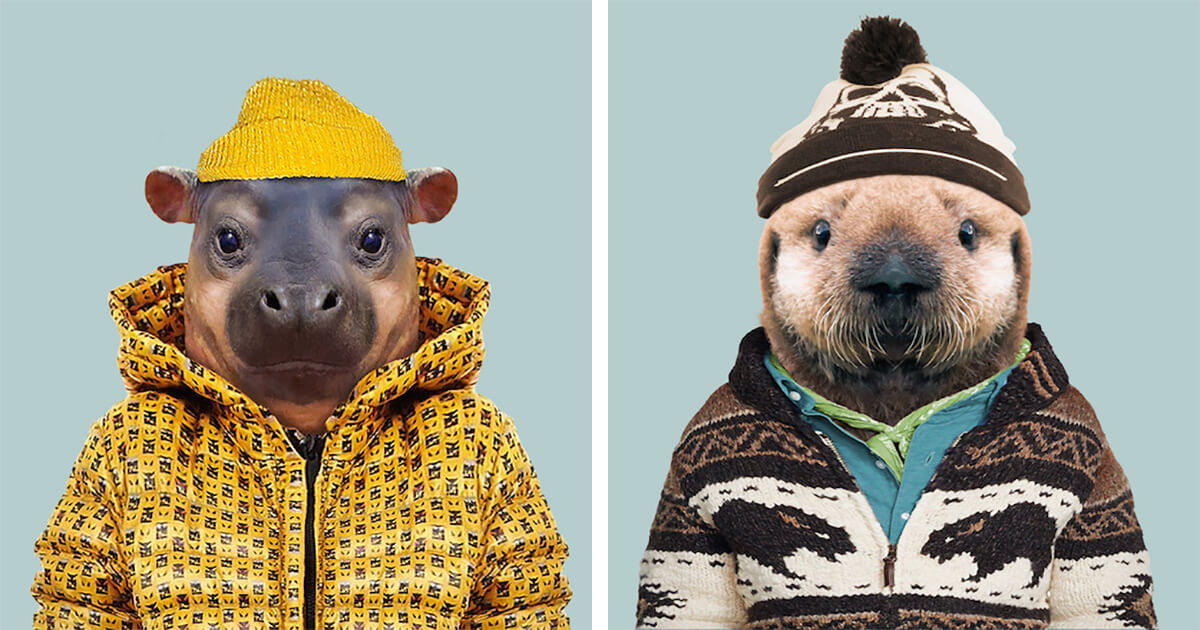 36 Adorable Portraits Of Baby Animals Dressed Like Humans 36 Adorable Portraits Of Baby Animals Dressed Like Humans