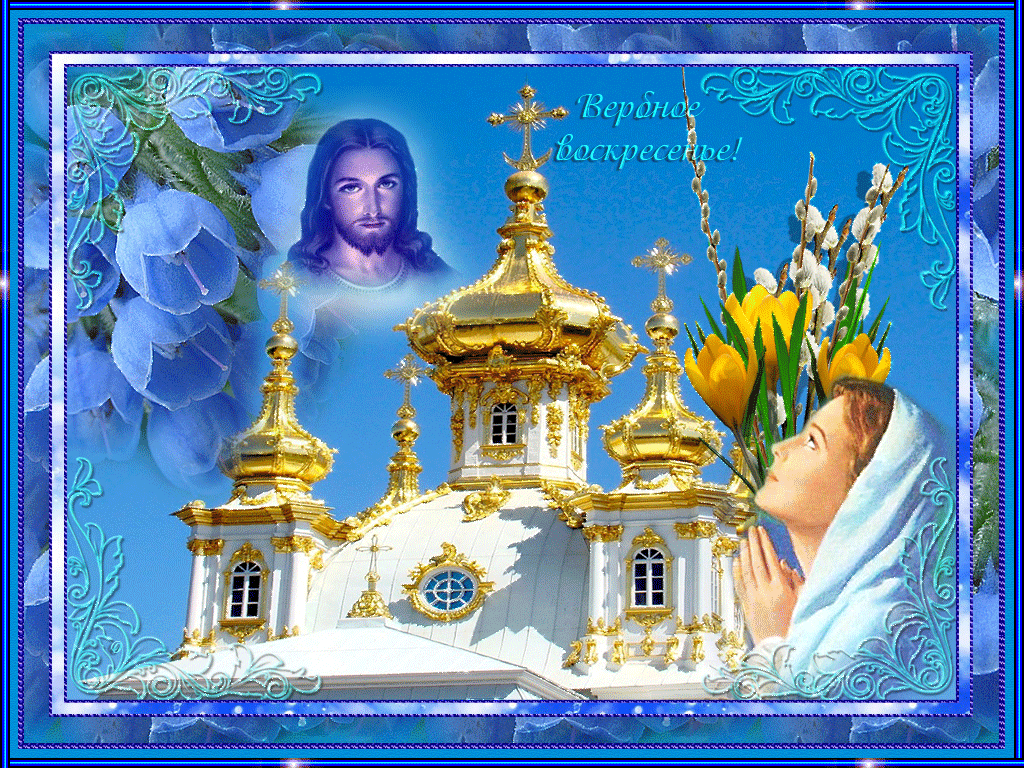 поздравления с вербным воск. вербное прощенное. вербное прощенное. вербное прощенное.