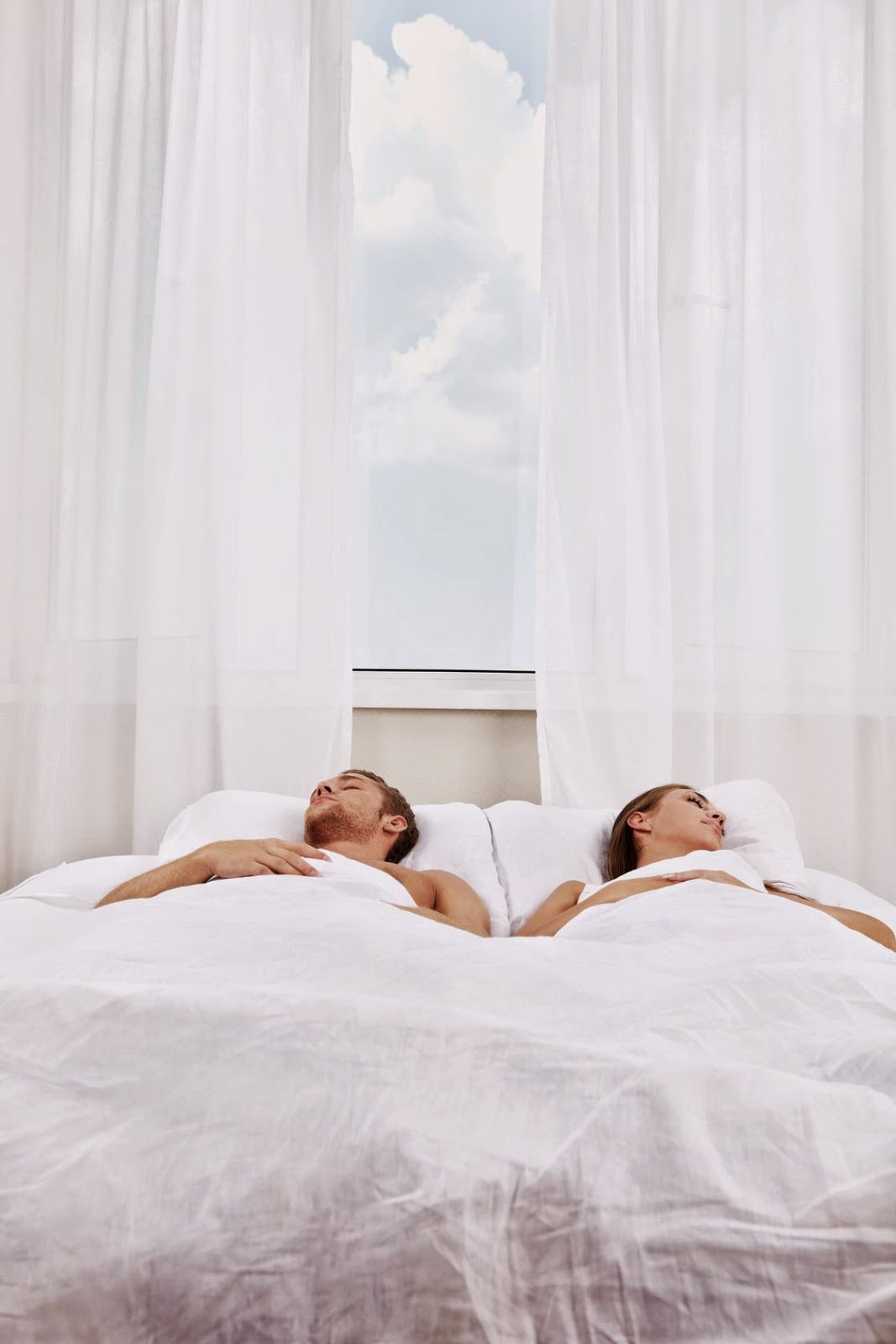 Bedding Mattresses in a Box Your Essential Guide To Better Bedding And