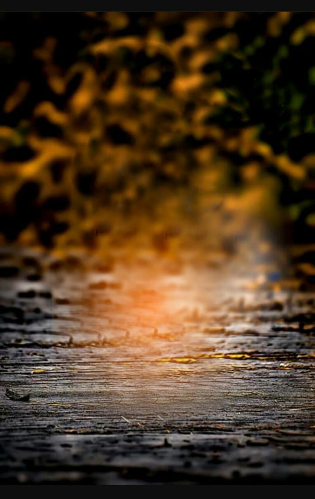 Cb Backgrounds For Edit Topbackground