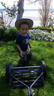 Picture of a boy with lawn mower