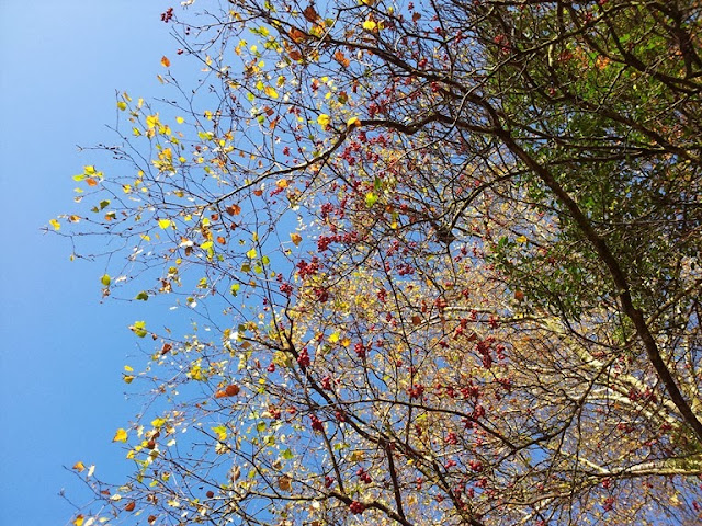 Schlecht Wetter Programm Fondantbasteln Cupcake Hexerl