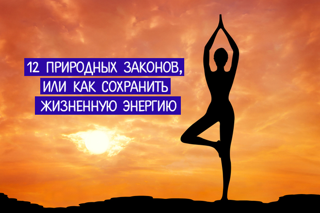 Котельский заказник ленинградской. Пейпия кингисеппский район. Природные законы. 12 природных законов. 12 природных.