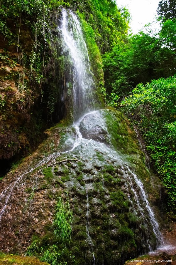 Parque Natural del Monasterio de Piedra