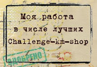 ТОП в задании challenge-km-shop