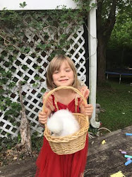 chicken silkie chickens pet princess