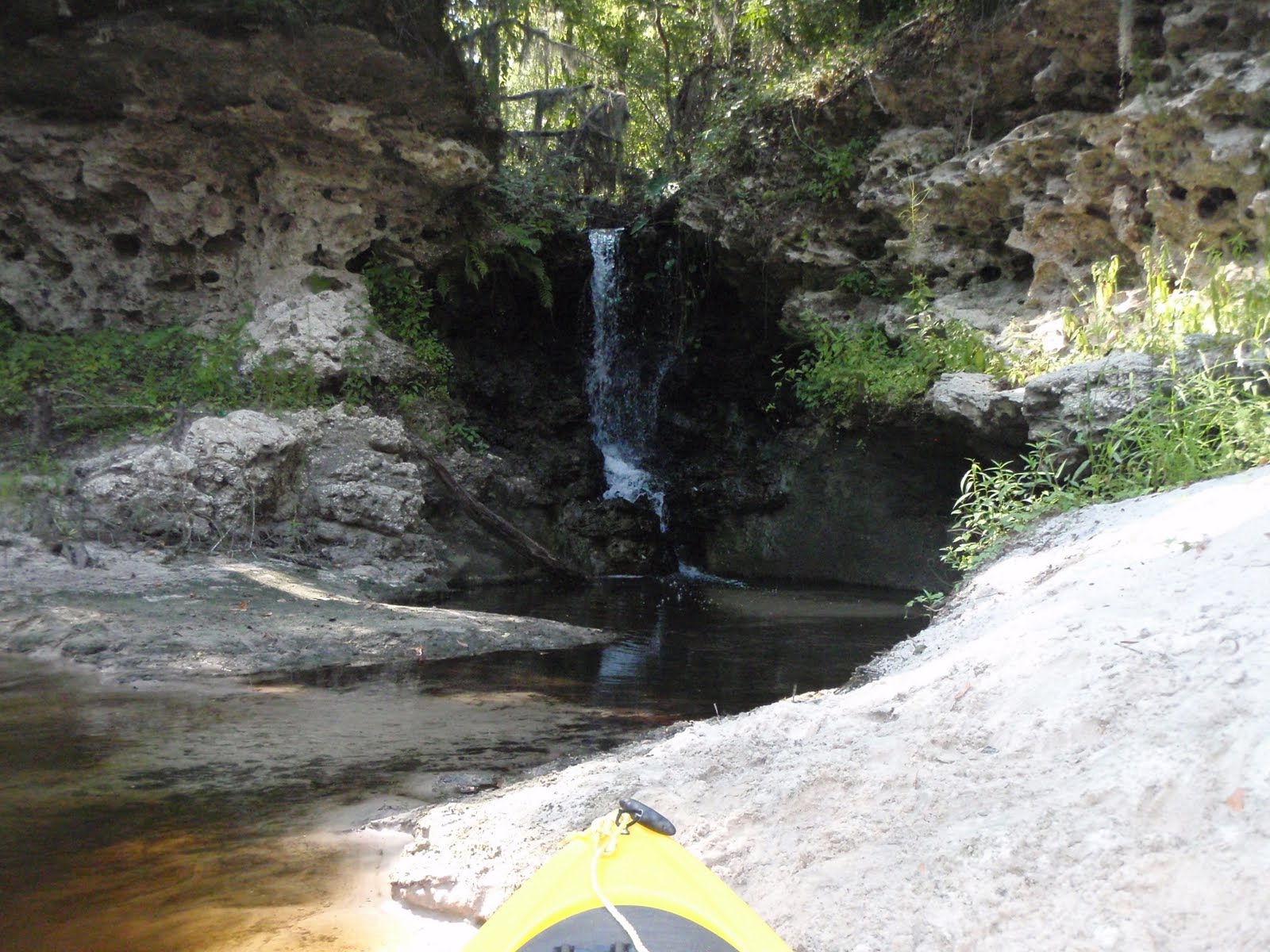 SOUTH KAYAK FISHING Alapahoochee convergence at Alapaha River