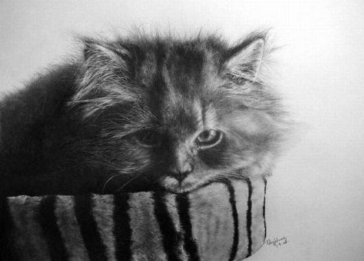 lifelike_pencil_drawings_02.jpg