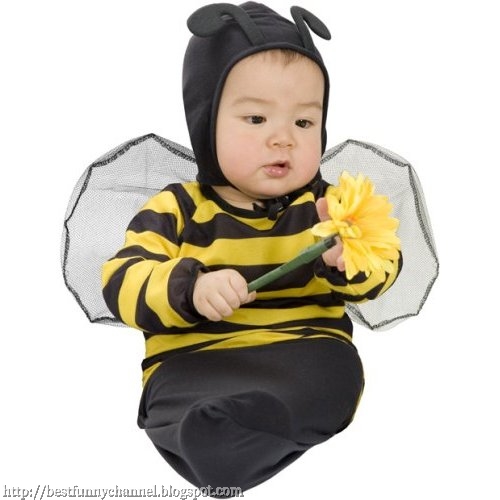 Baby bee.
