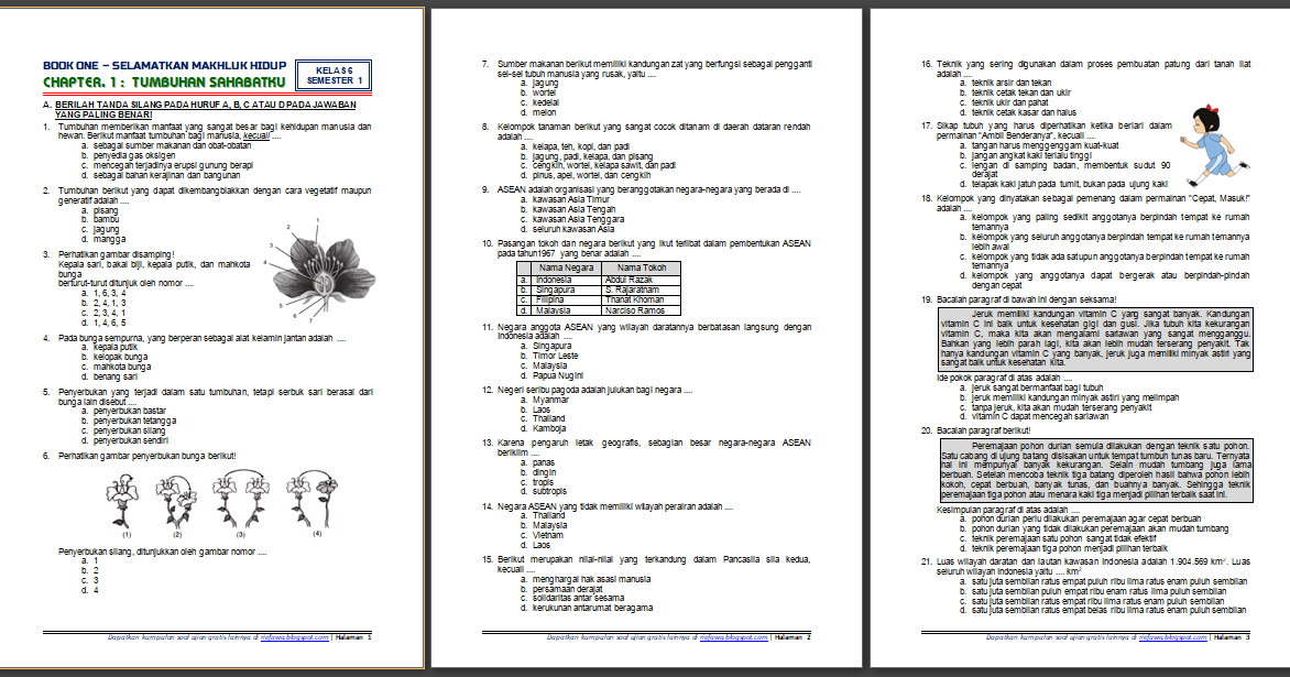 Contoh Soal Ulangan Harian Kelas 6 Tema 1