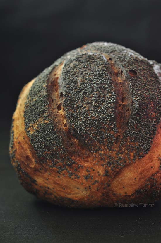 Rumbling Tummy Herman Artisan Bread (air fryer)