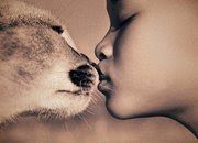 Animal Love and right