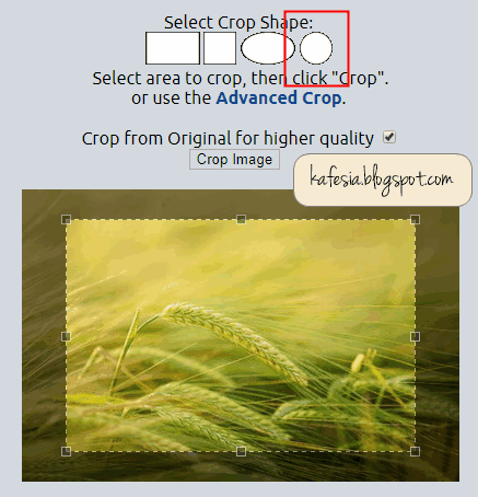 Cara Memotong Foto Menjadi Lingkaran Online Dengan Background Transparan