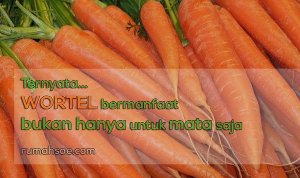Wortel Ternyata Bukan Hanya Bermanfaat untuk Kesehatan Mata Saja Wortel Ternyata Bukan Hanya Bermanfaat untuk Kesehatan Mata Saja
