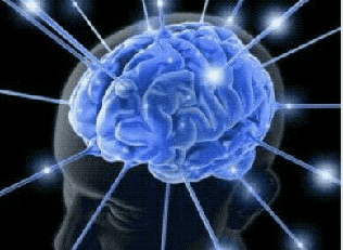 Tips To Improve Memory Brain