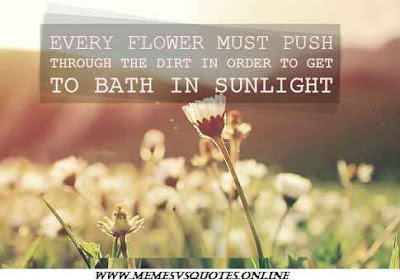 Bath In Sunlight