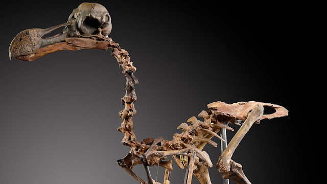 Marco's Box I/O 3x23-25 1