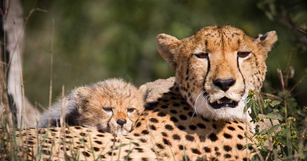 Around the IP blogs - The IPKat
