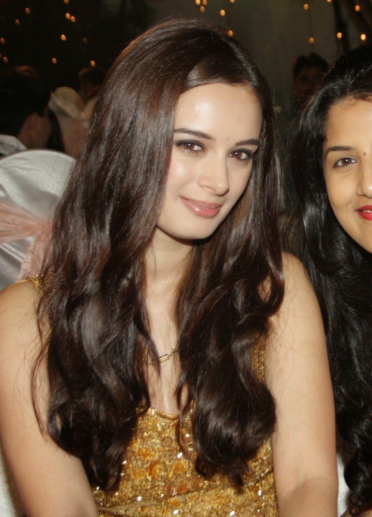 High Quality Bollywood Celebrity Pictures: Evelyn Sharma and Prachi ...