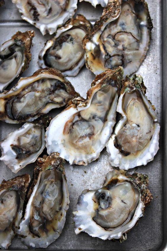 Greeker Than The Greeks 10 Ancient Greek Aphrodisiacs The Food of Love