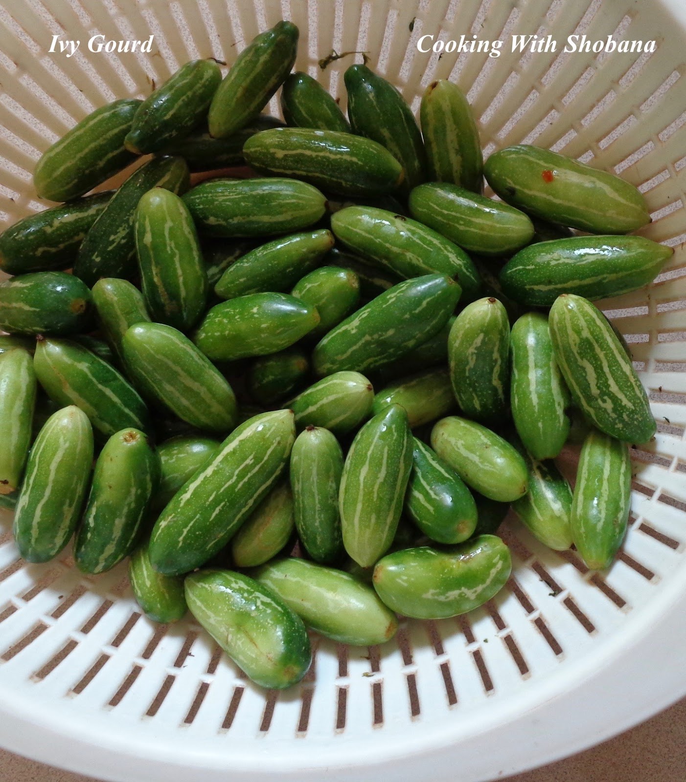 Cooking With Shobana GARLICKY IVY GOURD STIR FRY