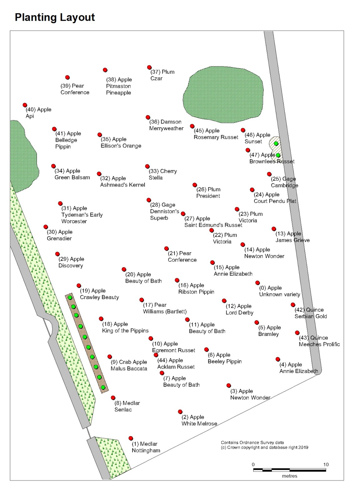 Bradwell Community Orchard Tree Planting Layout