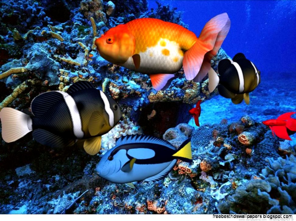Free HD amp 3D Wallpapers 3D Animated Wallpapers Fish Ocean Download