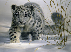 true-wildlife-snow+leopard2.jpeg