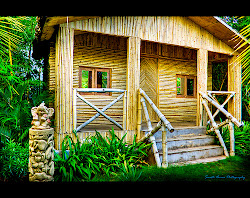 bamboo houses designs interior modern homes exterior eterior ganesha simple thoughtskoto examples kunjungi living flickr jennifer flood posts