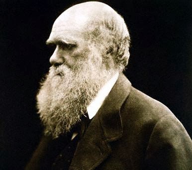 Retrato de Darwin