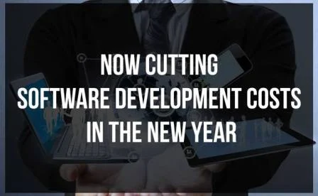 Cutting Software Development Costs in the New Year : eAskme