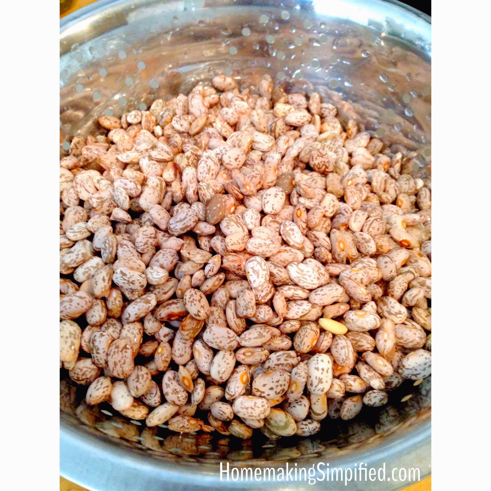 Homemaking Simplified How to Sort and Clean Dry Beans Pictorial