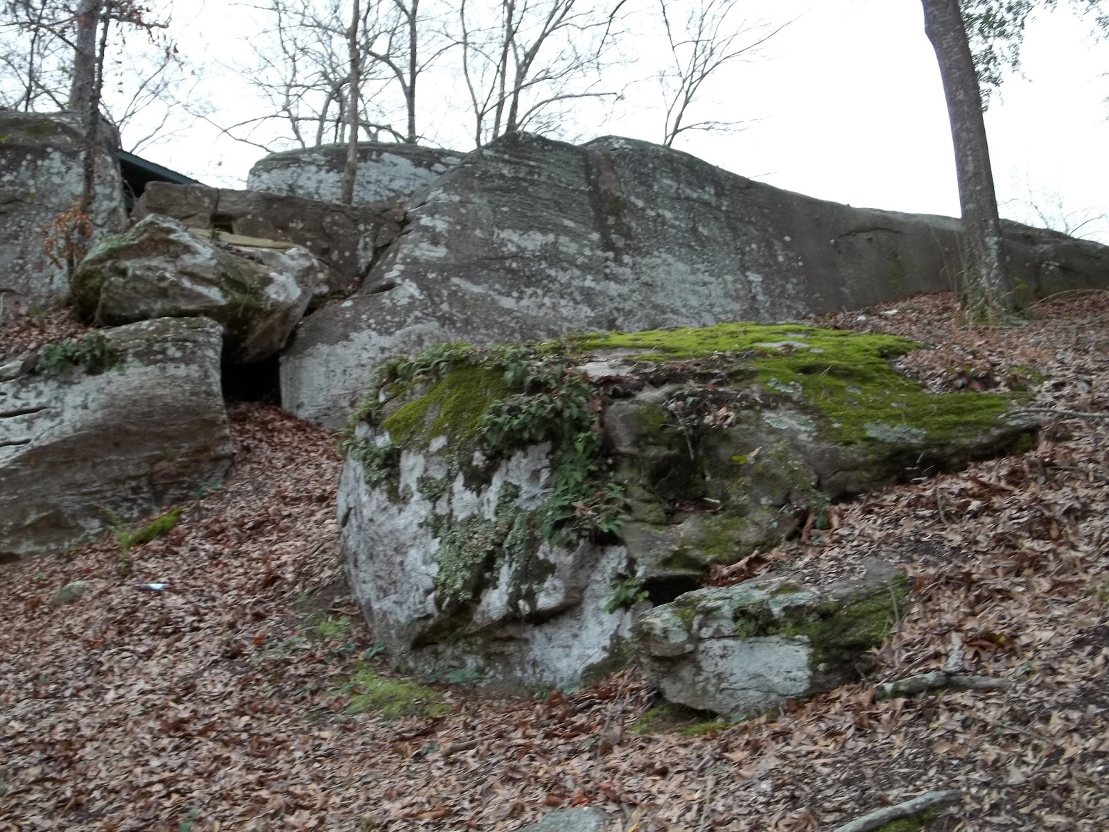 Flat Rock Photography Project The Rocky Outcrop