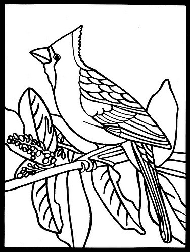 Pássaros de Audubon para Colorir Audubon's Birds Coloring Pages | UniPlanet