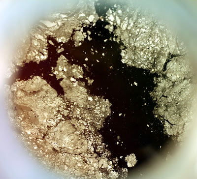 The two-month-old pellicle on one of the Brett'd saisons.