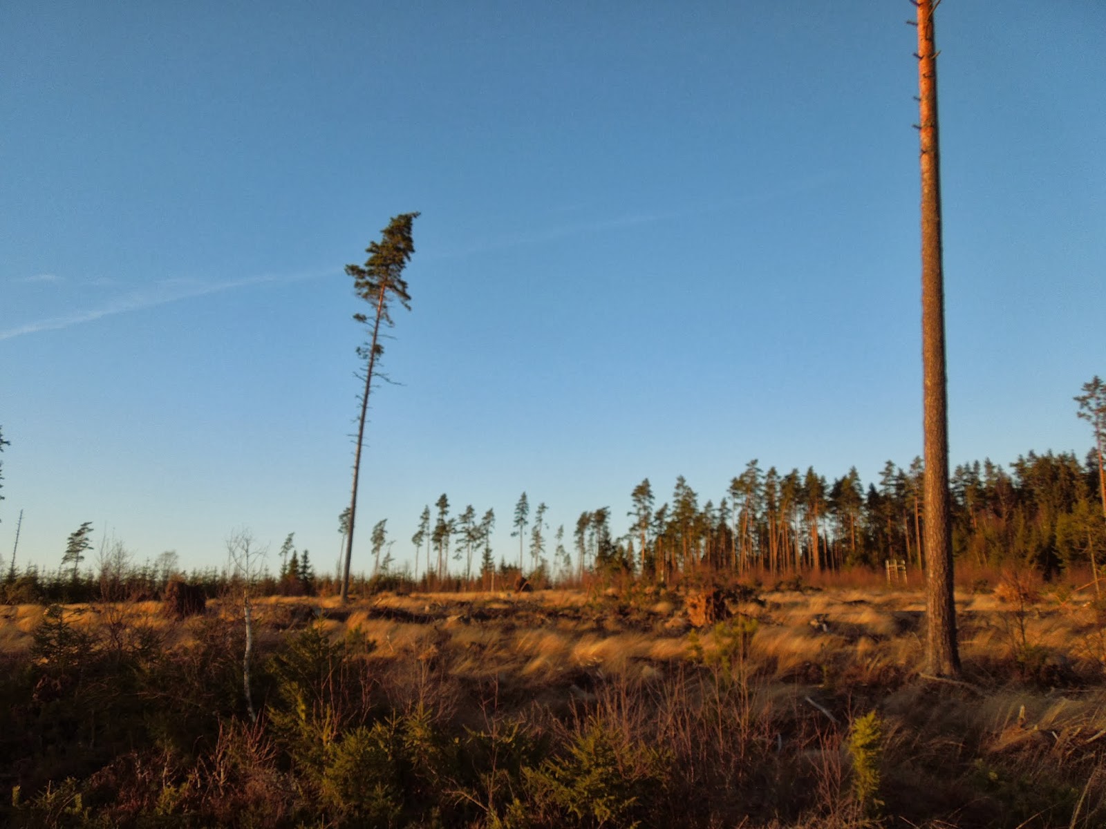 ingas-tankst-lle-novembersol