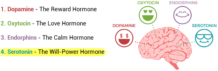 Мозг вырабатывает эндорфины. Дофамин серотонин Эндорфин. Дофамин серотонин окситоцин. Допамин окситоцин Эндорфин. Эндорфины гормоны счастья.