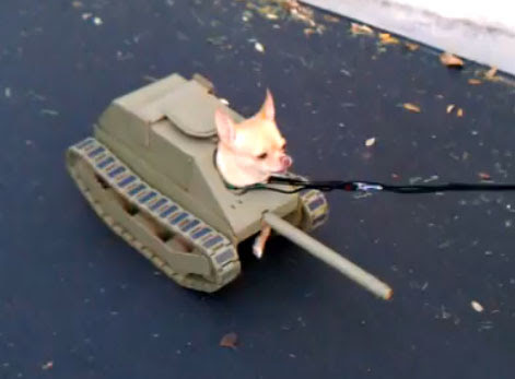 Video : 最終兵器 犬戦車