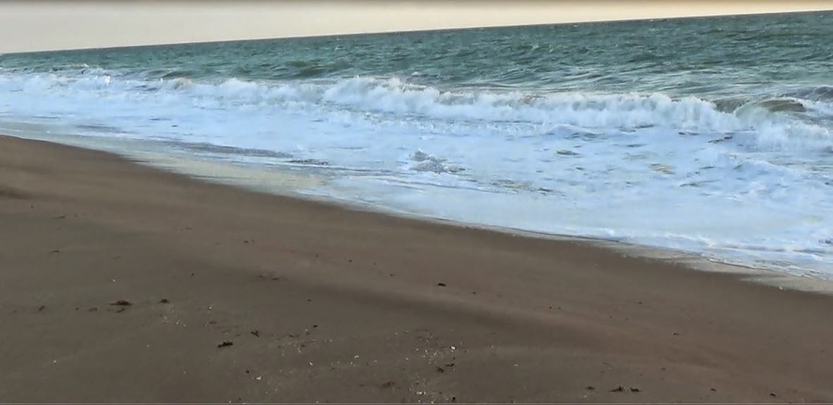 The Treasure Beaches Report Direct From Florida's Treasure Coast. 11/4