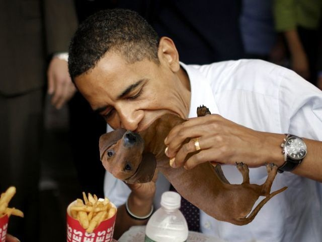 Obama+dog+schnittshow.png