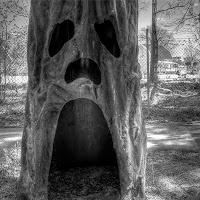 Scary Dogwood Trees