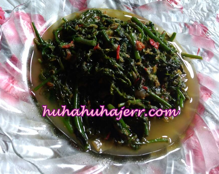 Resepi Pucuk Paku Goreng Pedas Blog Santai Santai Jerr