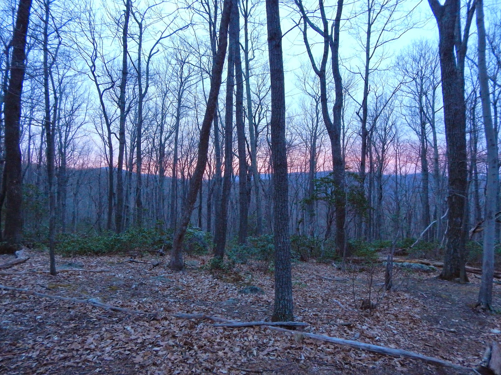 Those Who Wander: White Rocks (Hazel Mountain and White Rocks Trails)