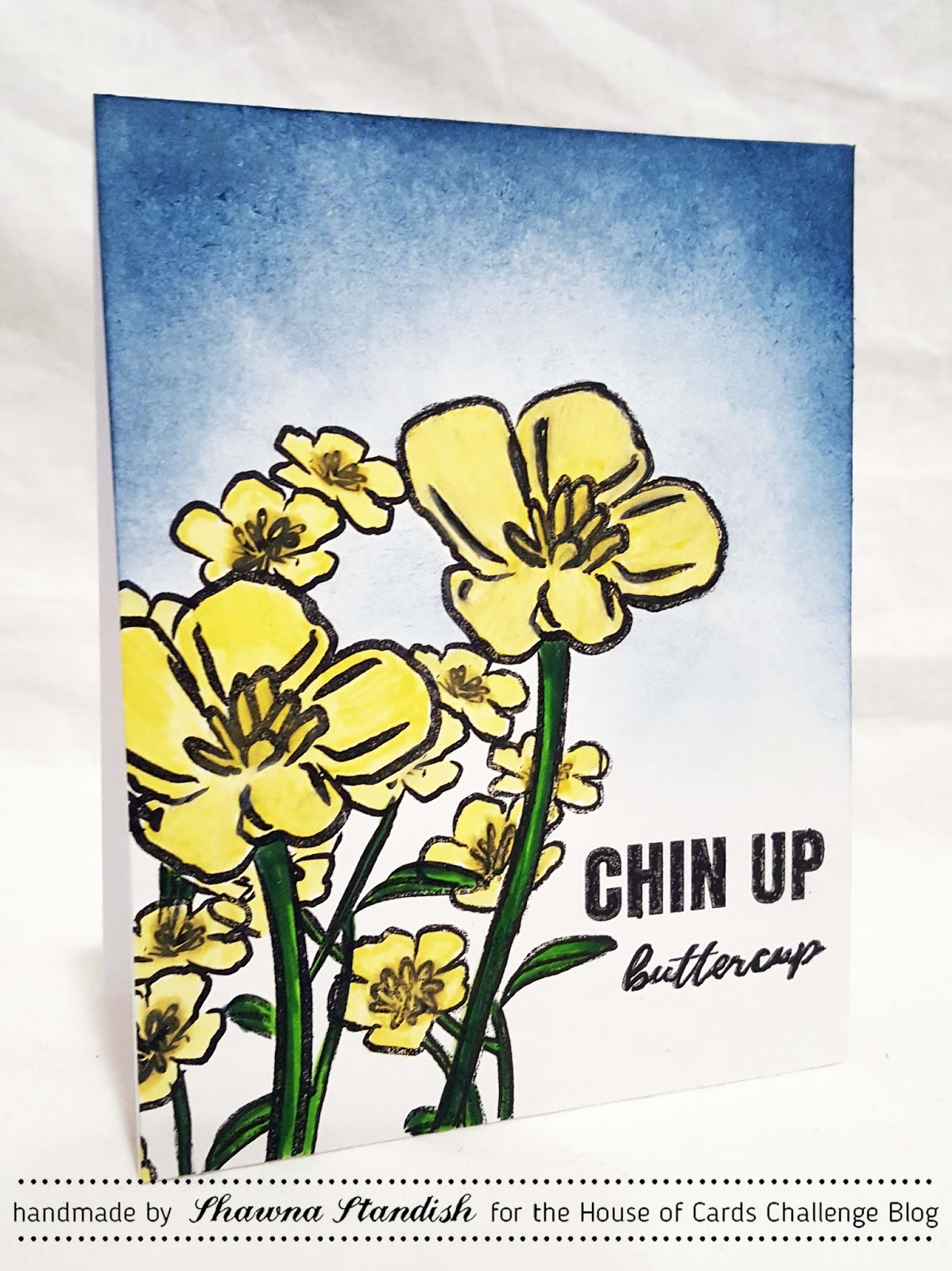 TheGrandStampede Chin Up Buttercup