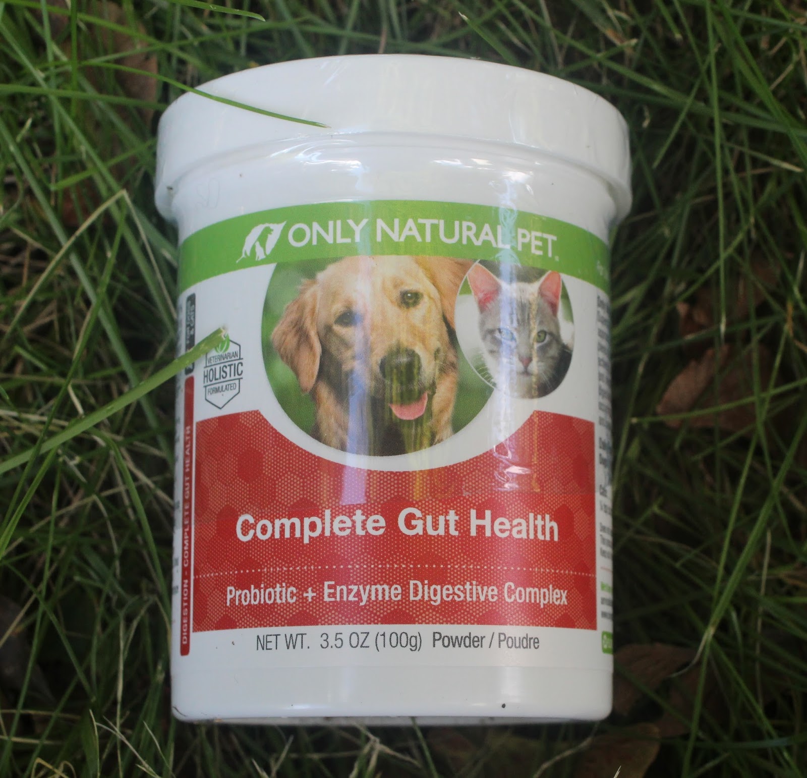 Dog Madness Give Your Dog Complete Digestive Care Holistically