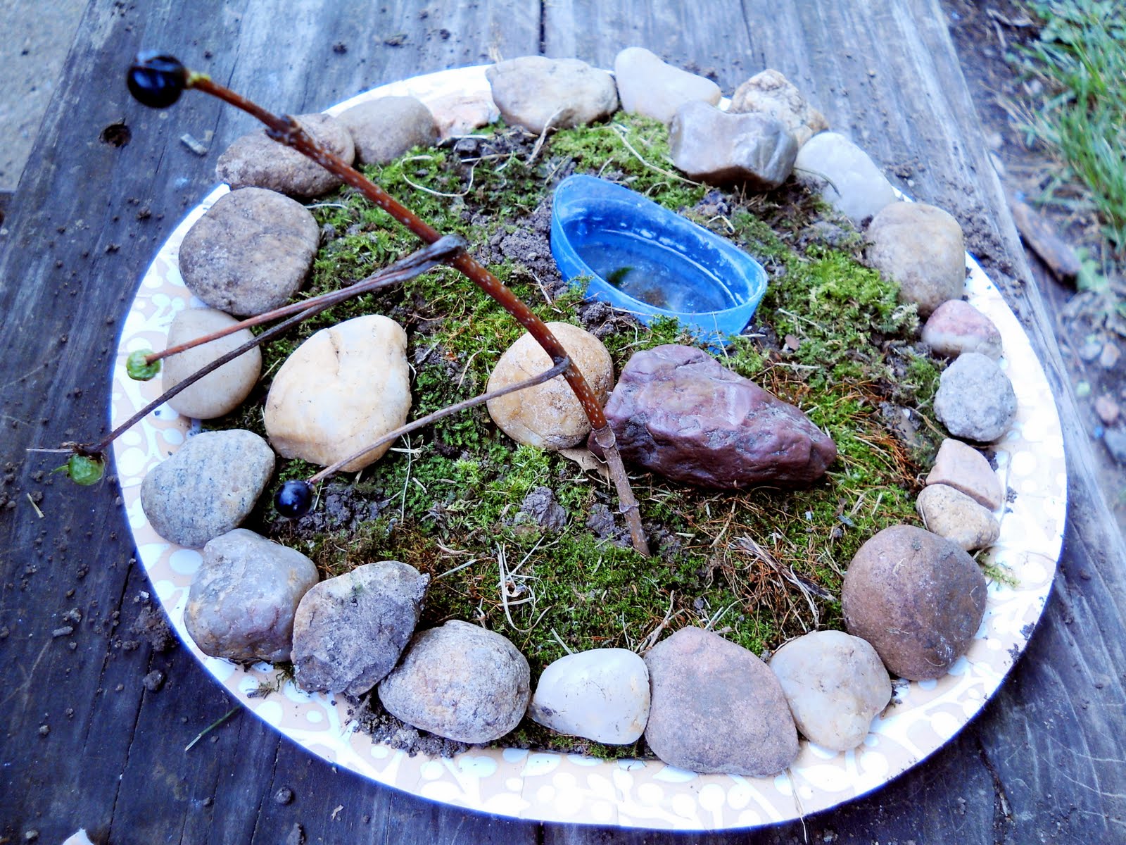 Roots of Simplicity Garden on a Plate