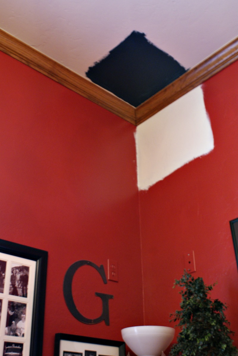 Paint Your WallsDigitally & Photo Editing News Dimples and Tangles